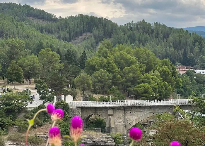 招待所 Space Përmet